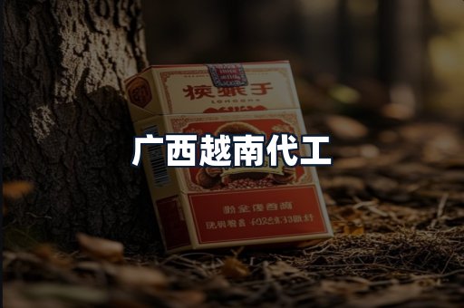 广西越南代工