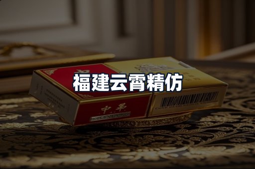 福建云霄精仿